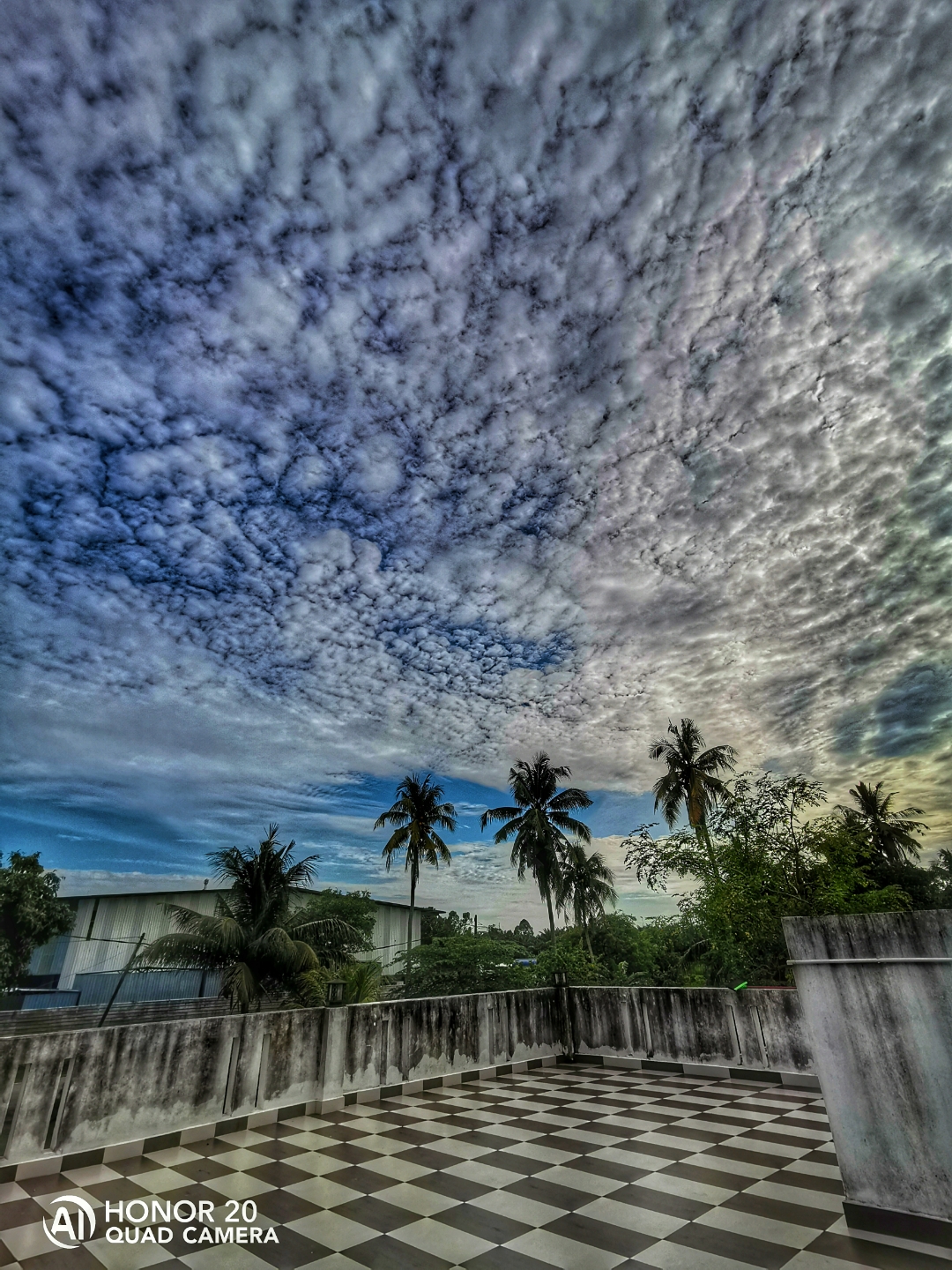 Biweekly-Photo-Collection-Highlighted-All-Good-Photos-Created-from