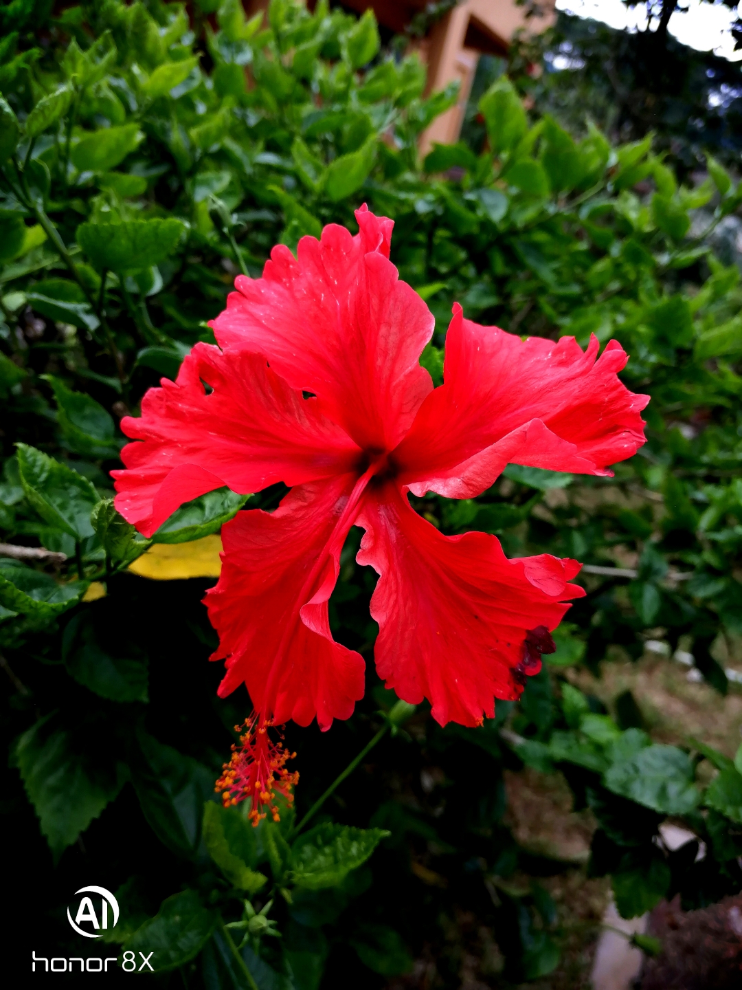 Biweekly-Photo-Collection-Highlighted-All-Good-Photos-Created-from