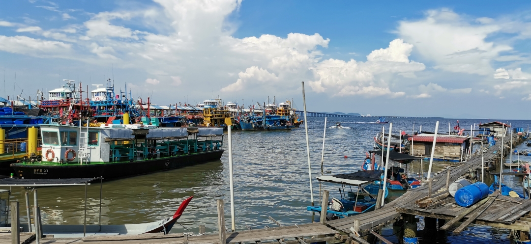 Biweekly-Photo-Collection-Highlighted-All-Good-Photos-Created-from