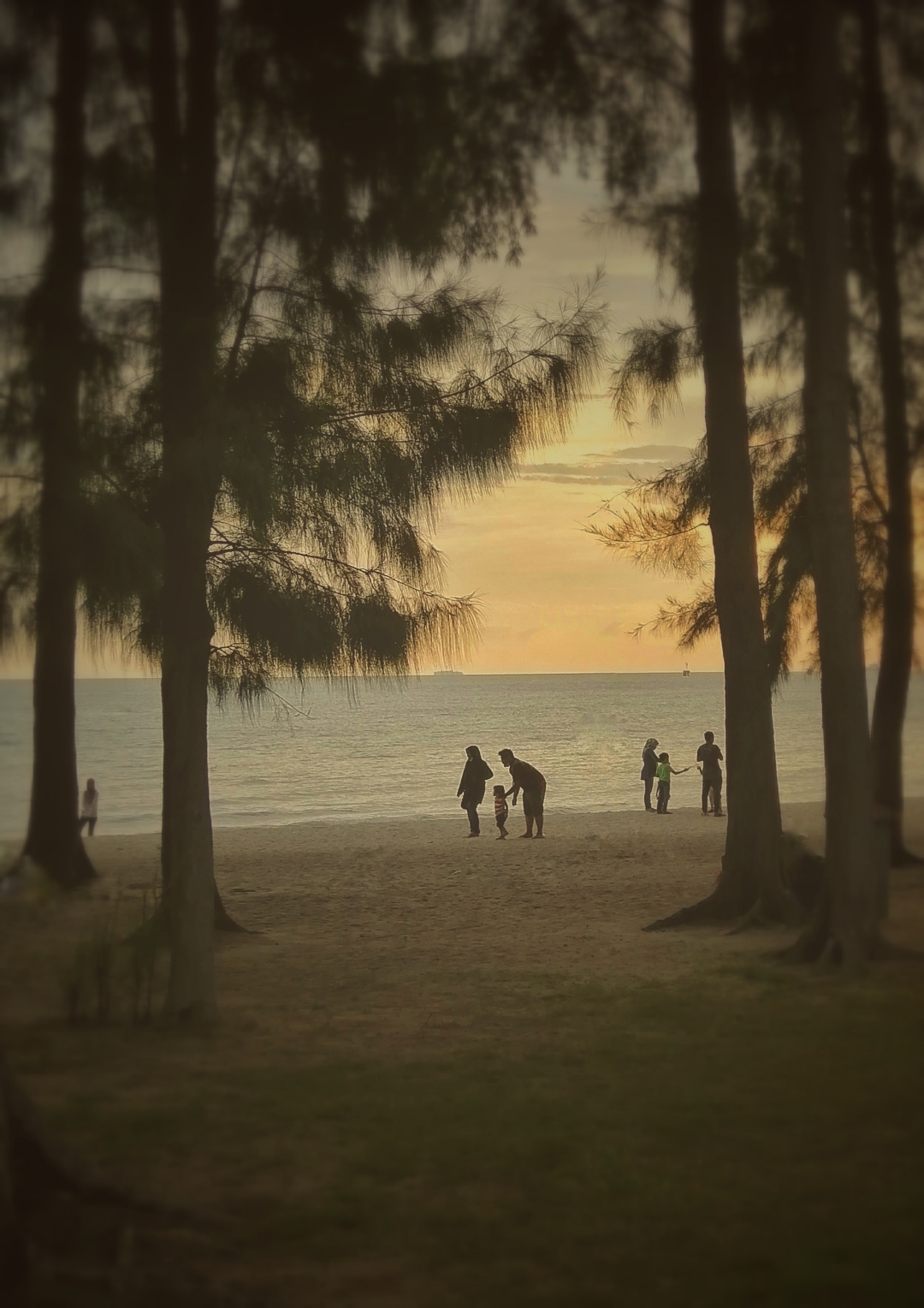 Biweekly-Photo-Collection-Highlighted-All-Good-Photos-Created-from