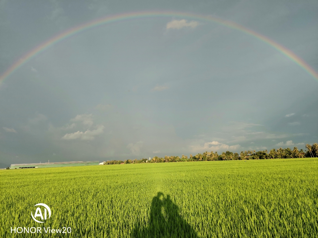 Biweekly-Photo-Collection-Highlighted-All-Good-Photos-Created-from