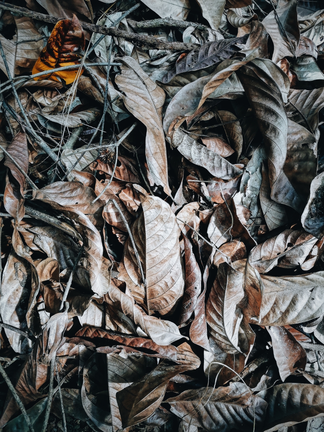 Biweekly-Photo-Collection-Highlighted-All-Good-Photos-Created-from