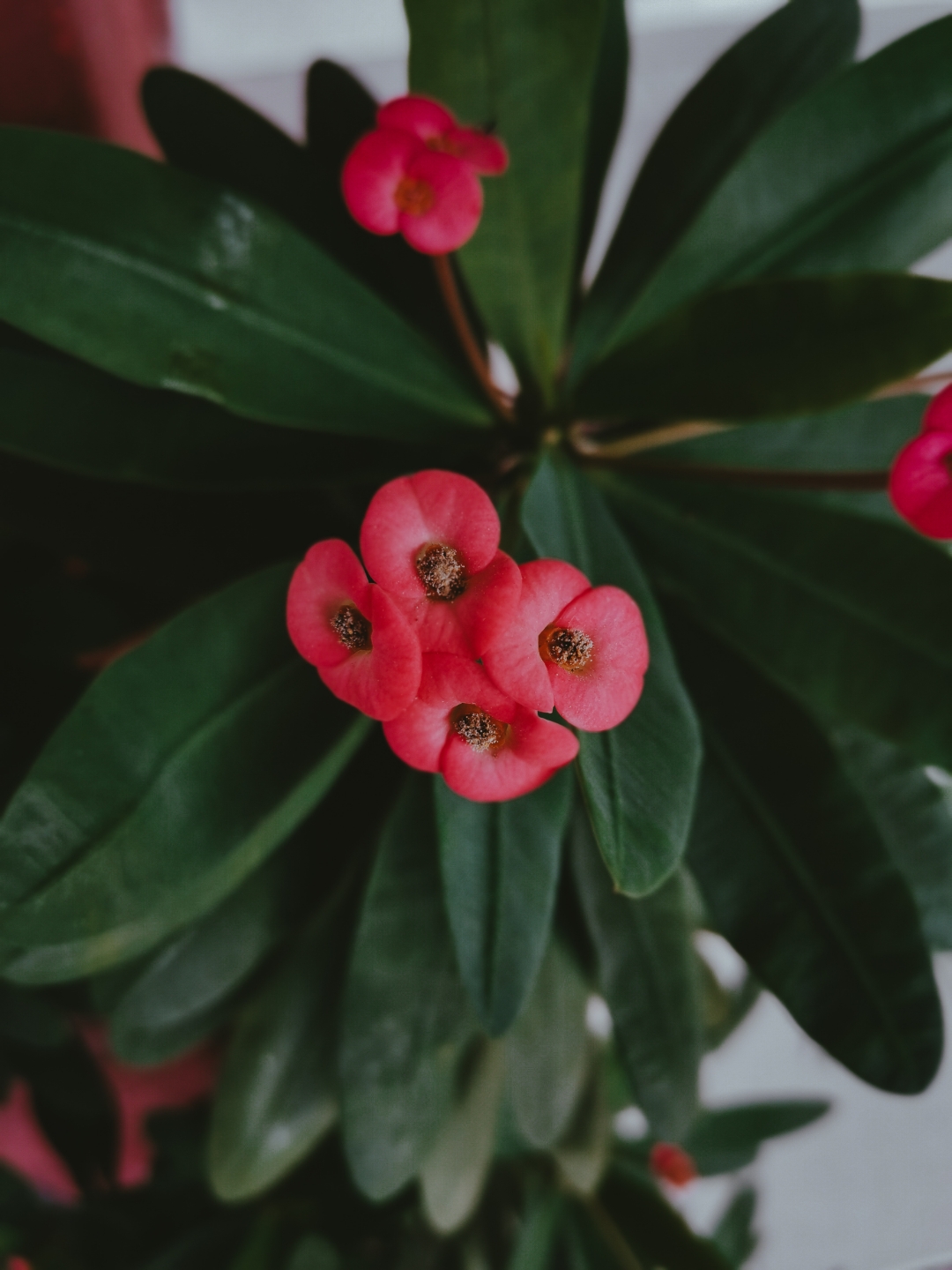 Biweekly-Photo-Collection-Highlighted-All-Good-Photos-Created-from