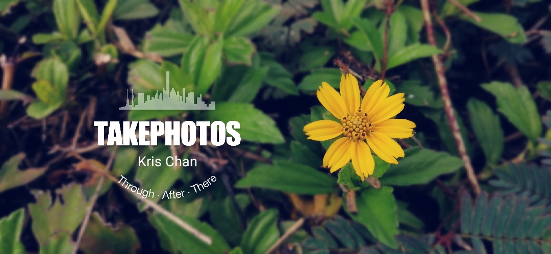 Biweekly-Photo-Collection-Highlighted-All-Good-Photos-Created-from