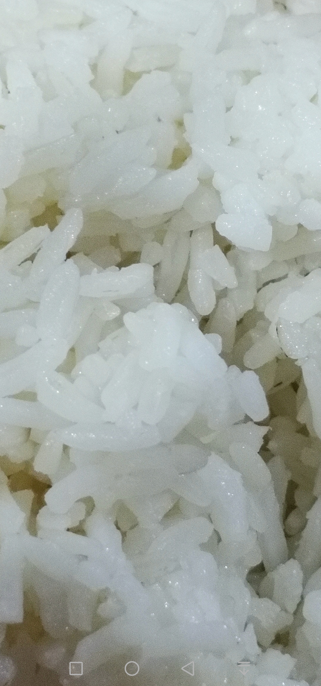 Samples-Get-to-know-about-48mp-SONY-IMX586-amp-Sample-shots