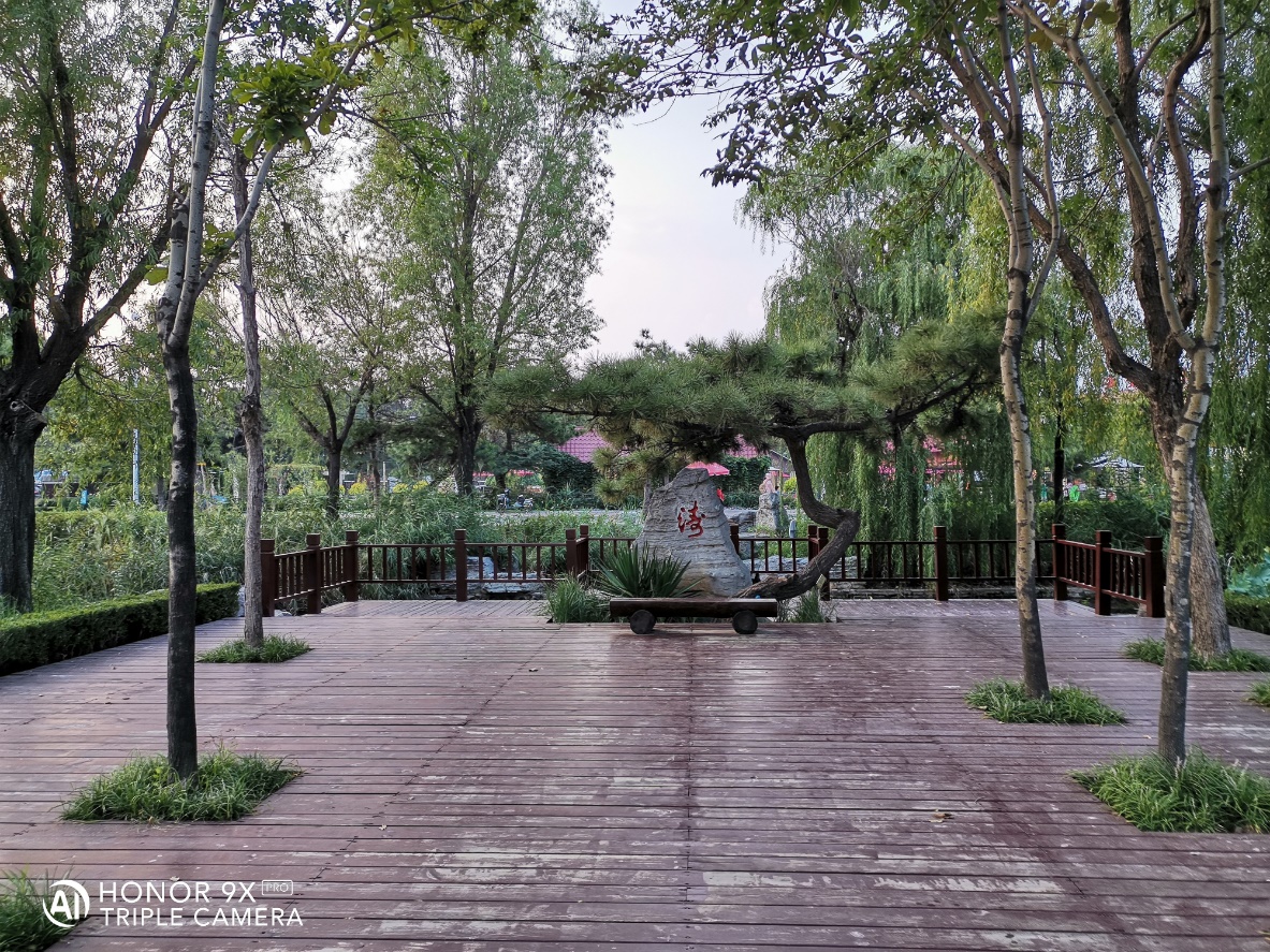 Happy-Memories-Captured-with-Honor9X-Pro