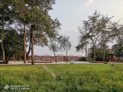 Happy-Memories-Captured-with-Honor9X-Pro