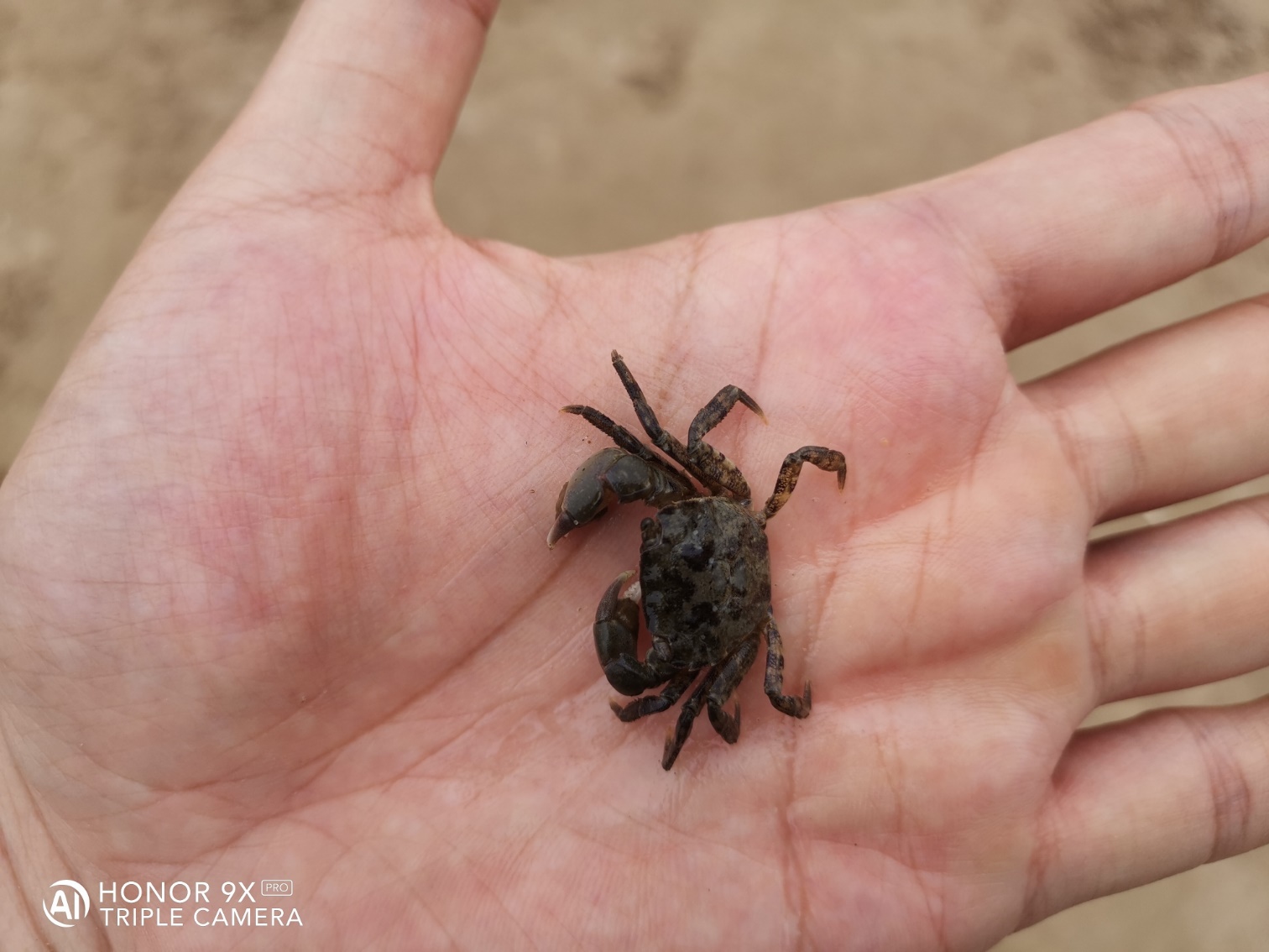 Happy-Memories-Captured-with-Honor9X-Pro