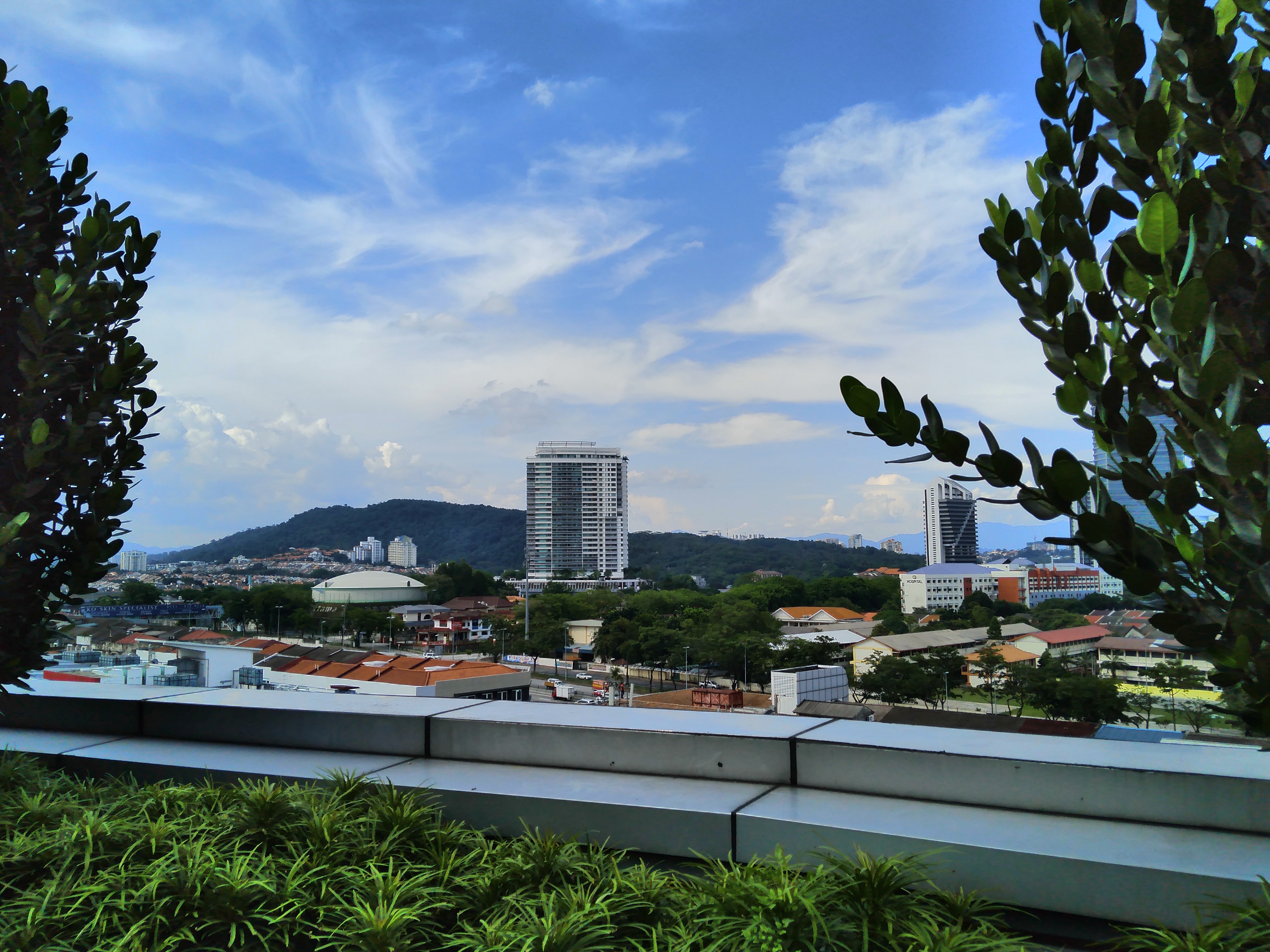 review-Photography-More-photos-with-Honor-8C