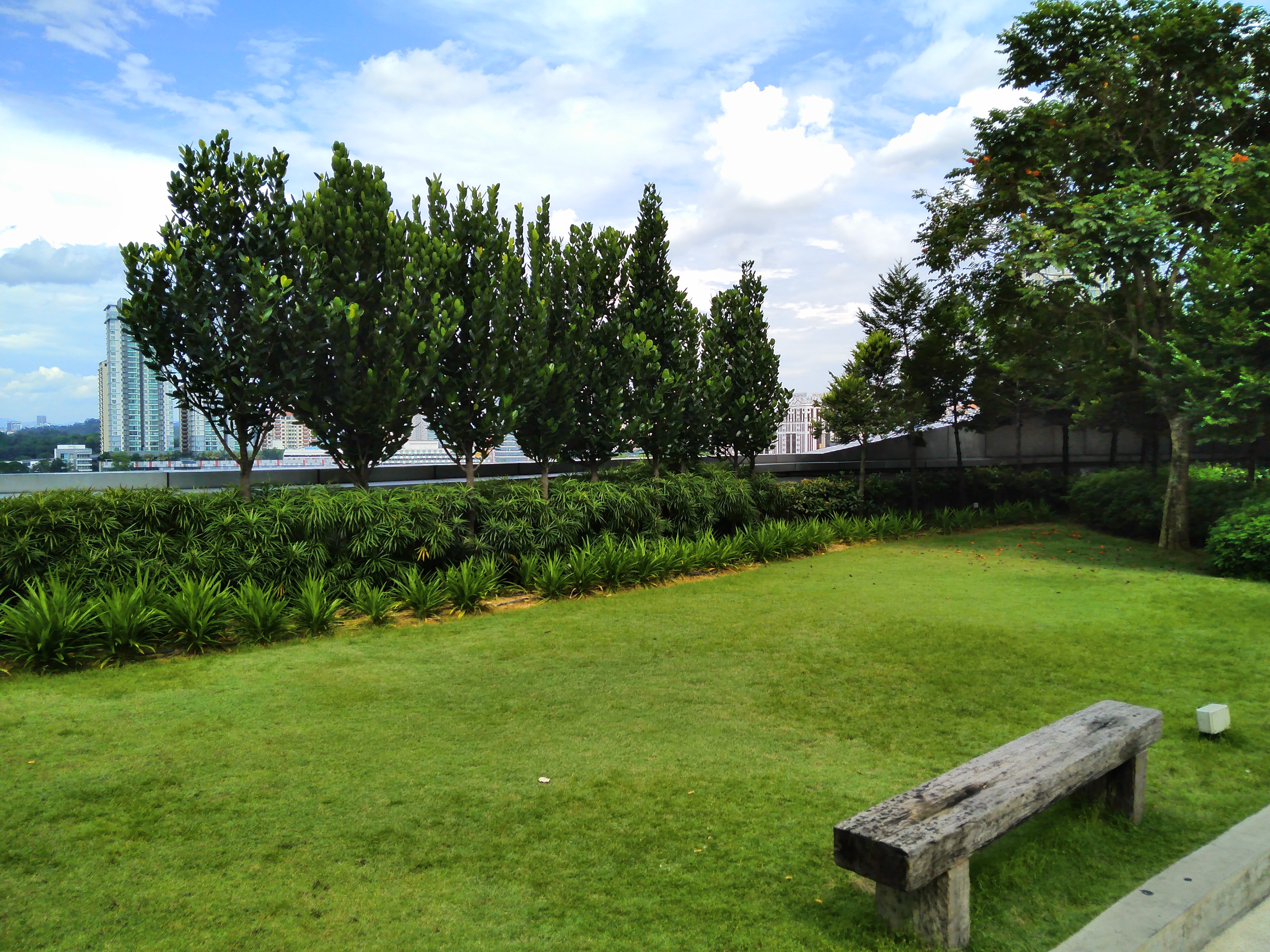 review-Photography-More-photos-with-Honor-8C