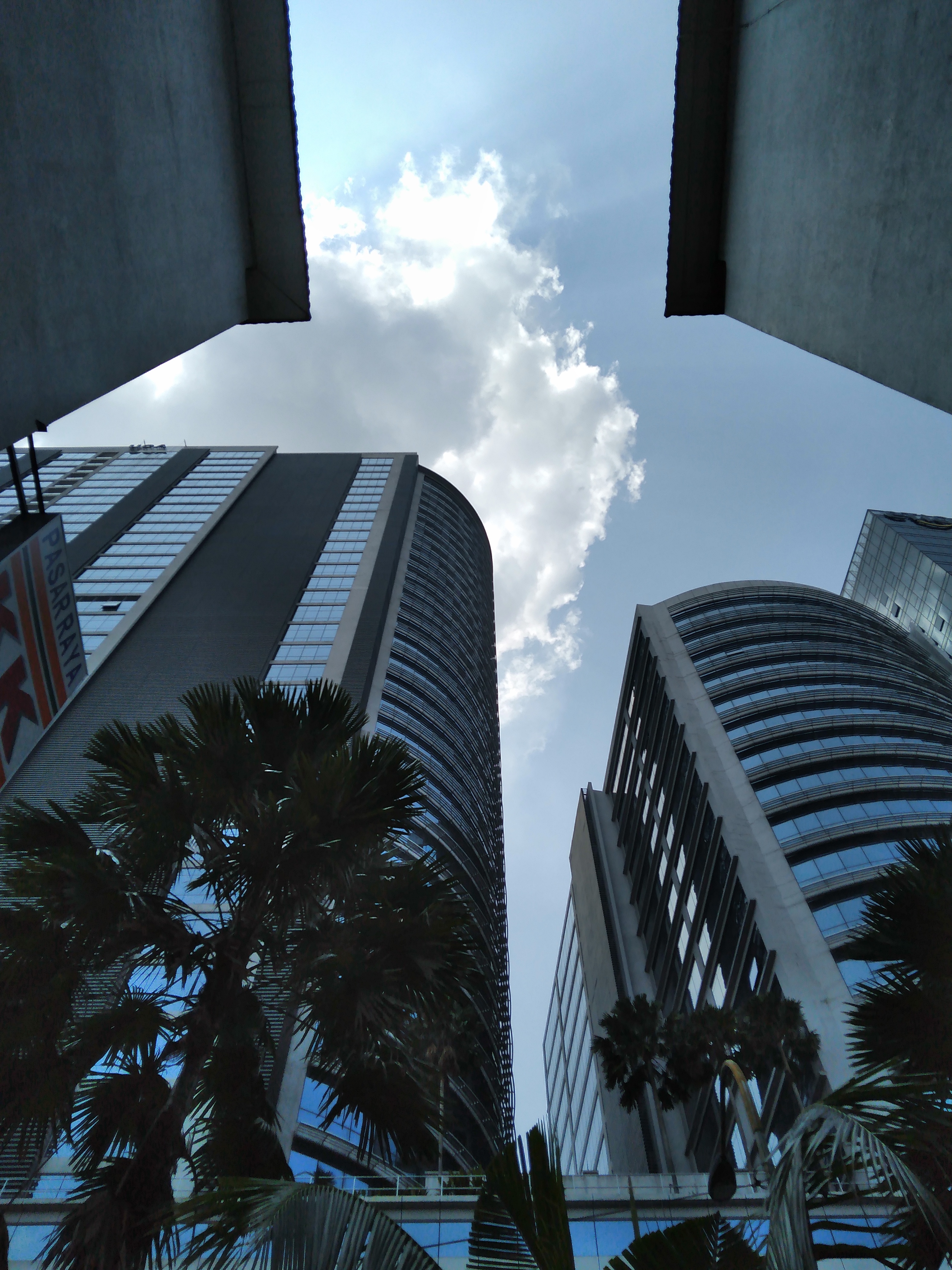 review-Photography-More-photos-with-Honor-8C