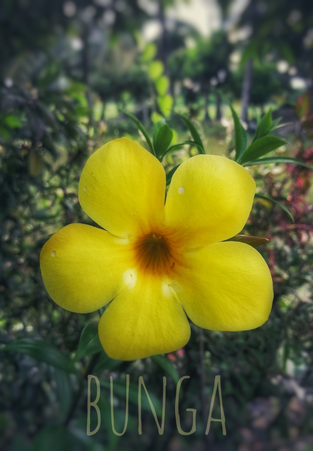 Biweekly-Photo-Collection-Highlighted-All-Good-Photos-Created-from-1st