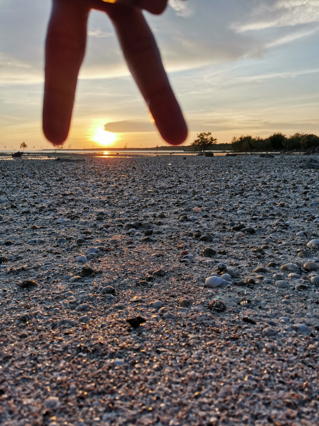 Biweekly-Photo-Collection-Highlighted-All-Good-Photos-Created-from-1st