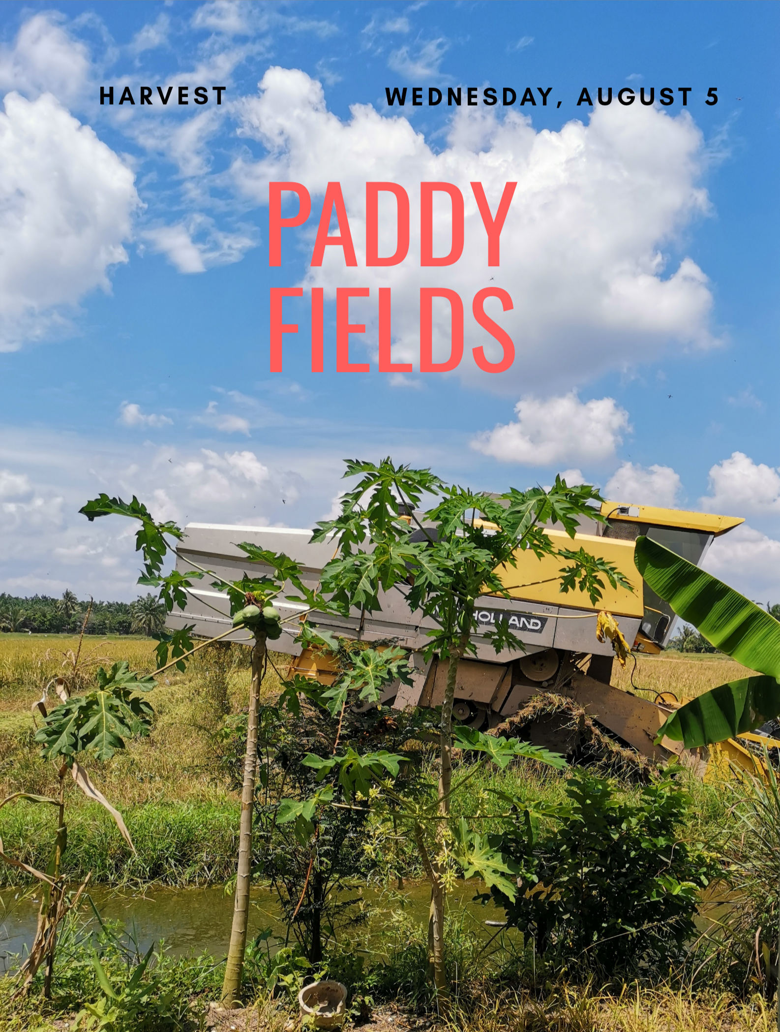 Biweekly-Photo-Collection-Highlighted-All-Good-Photos-Created-from-1st