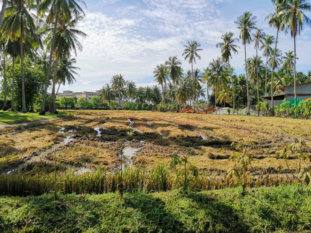 Biweekly-Photo-Collection-Highlighted-All-Good-Photos-Created-from-1st