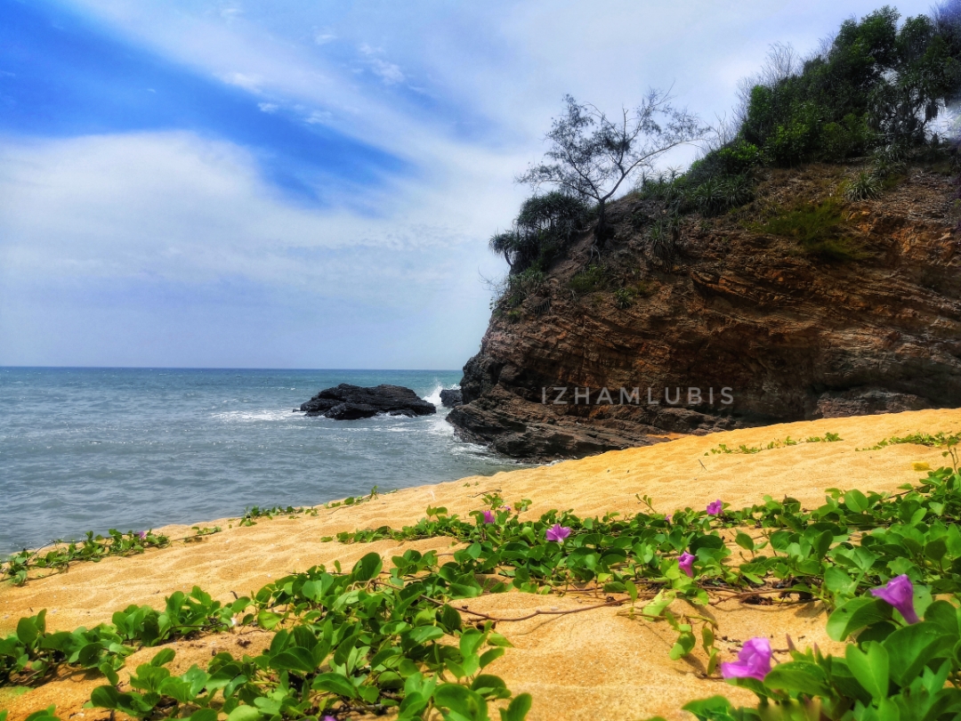 Biweekly-Photo-Collection-Highlighted-All-Good-Photos-Created-from-1st