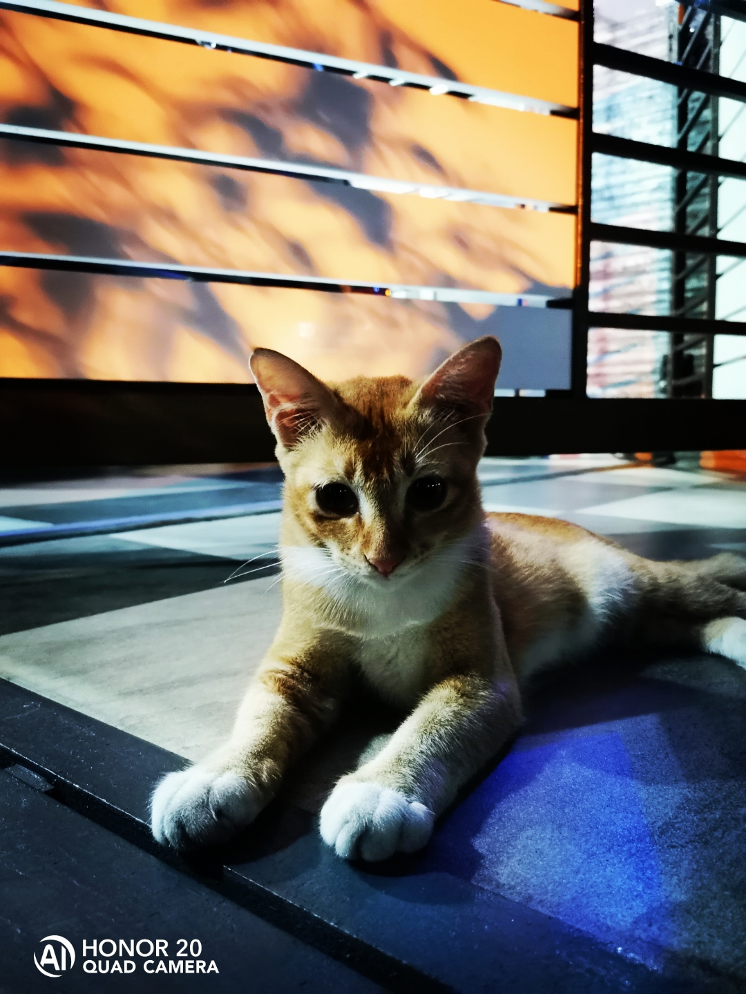 Biweekly-Photo-Collection-Highlighted-All-Good-Photos-Created-from-1st