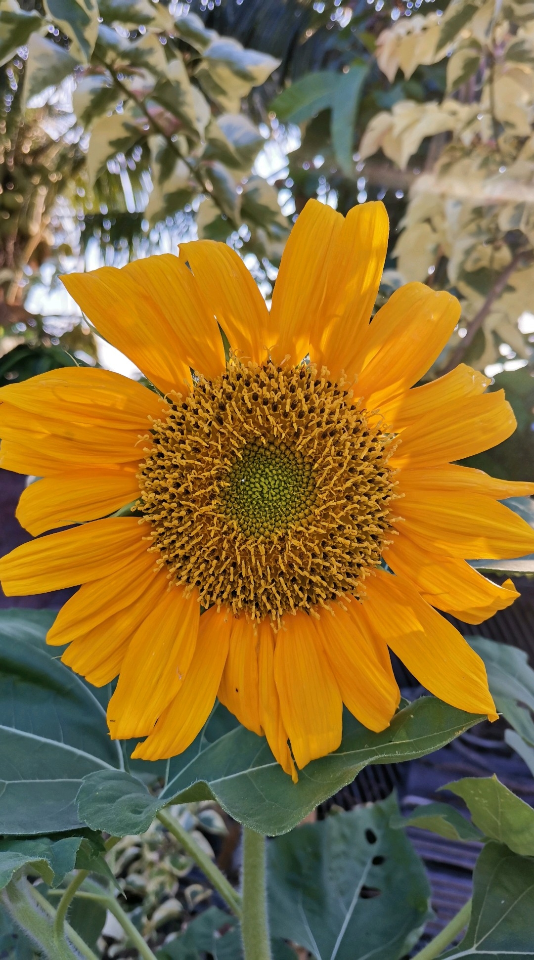 Biweekly-Photo-Collection-Highlighted-All-Good-Photos-Created-from-1st