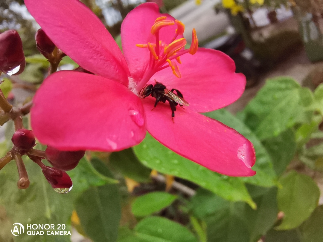 Biweekly-Photo-Collection-Highlighted-All-Good-Photos-Created-from-1st