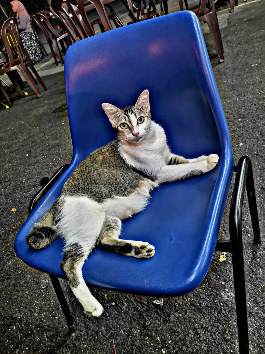 Biweekly-Photo-Collection-Highlighted-All-Good-Photos-Created-from-1st