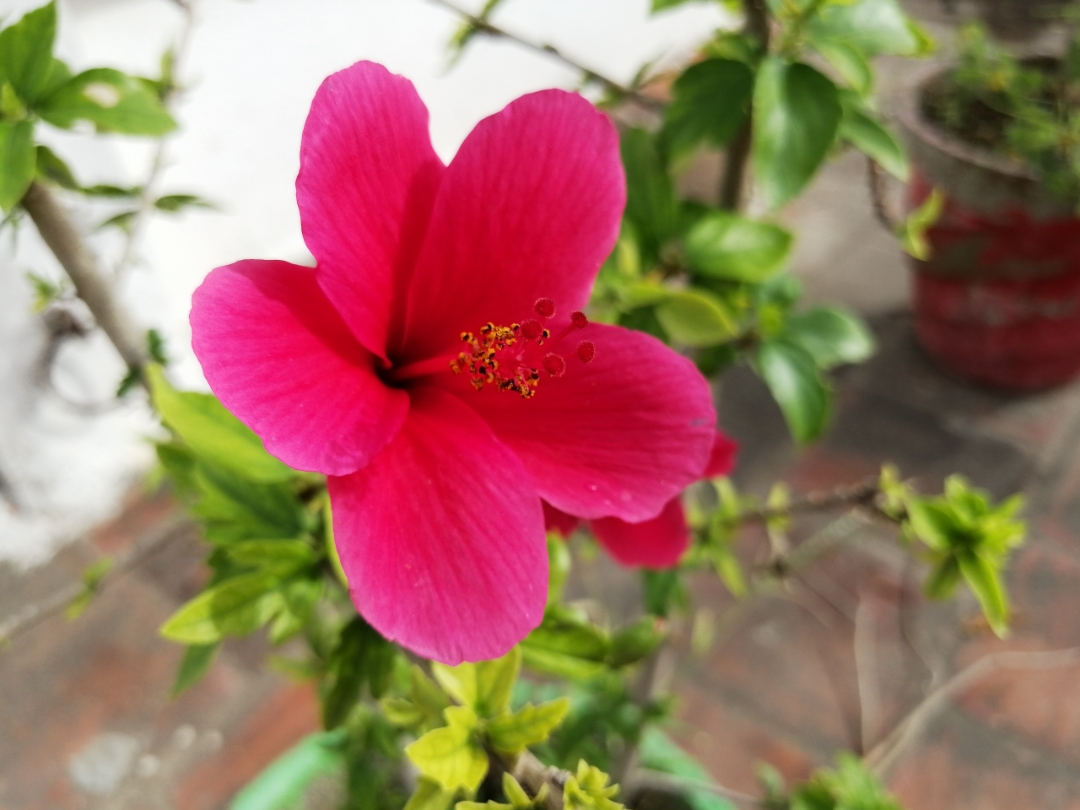 pLampu-ict-Shah-alamppimg-srchttpsiforum