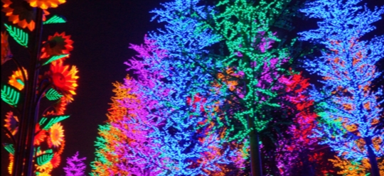 pLampu-ict-Shah-alamppimg-srchttpsiforum