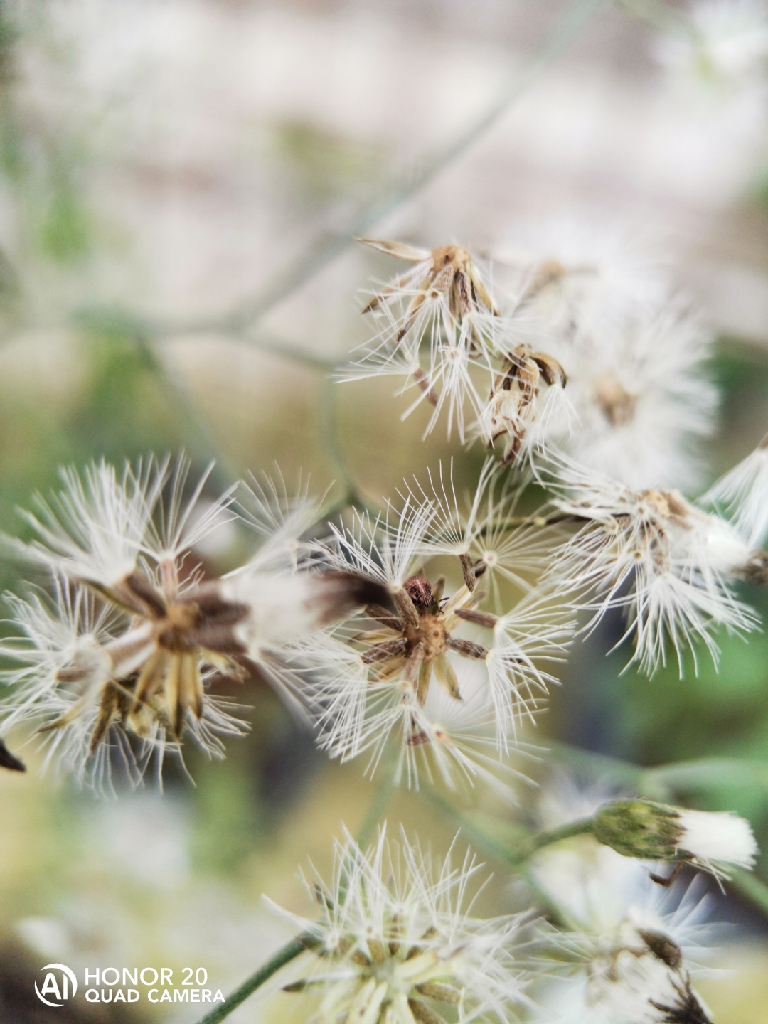 Biweekly-Photo-Collection-Highlighted-All-Good-Photos-Created-from