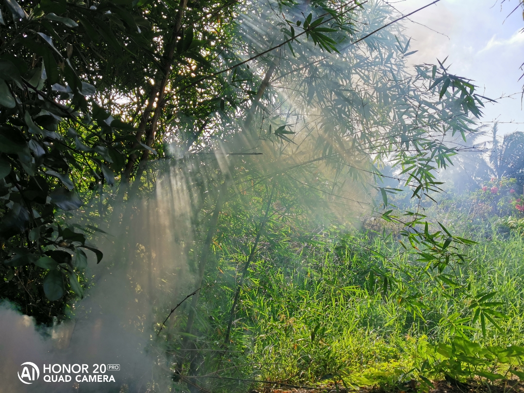 Biweekly-Photo-Collection-Highlighted-All-Good-Photos-Created-from