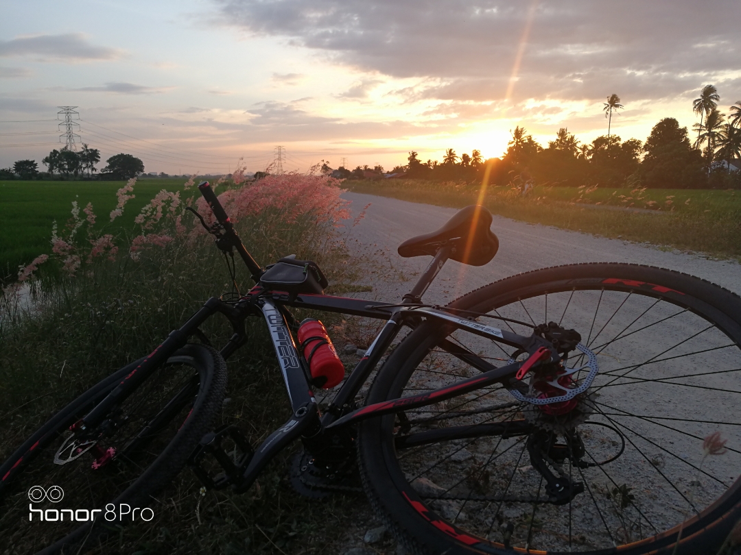 Biweekly-Photo-Collection-Highlighted-All-Good-Photos-Created-from