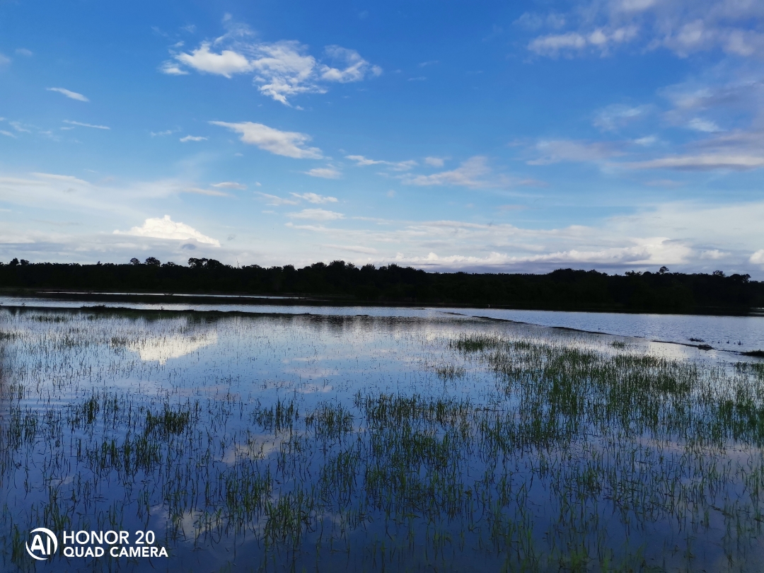 Biweekly-Photo-Collection-Highlighted-All-Good-Photos-Created-from