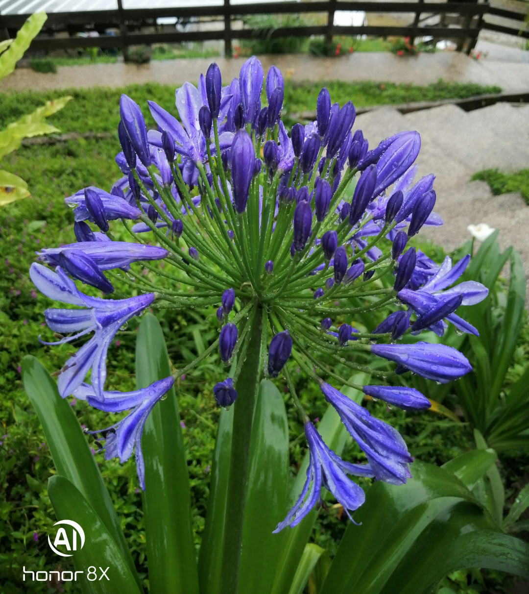 Biweekly-Photo-Collection-Highlighted-All-Good-Photos-Created-from