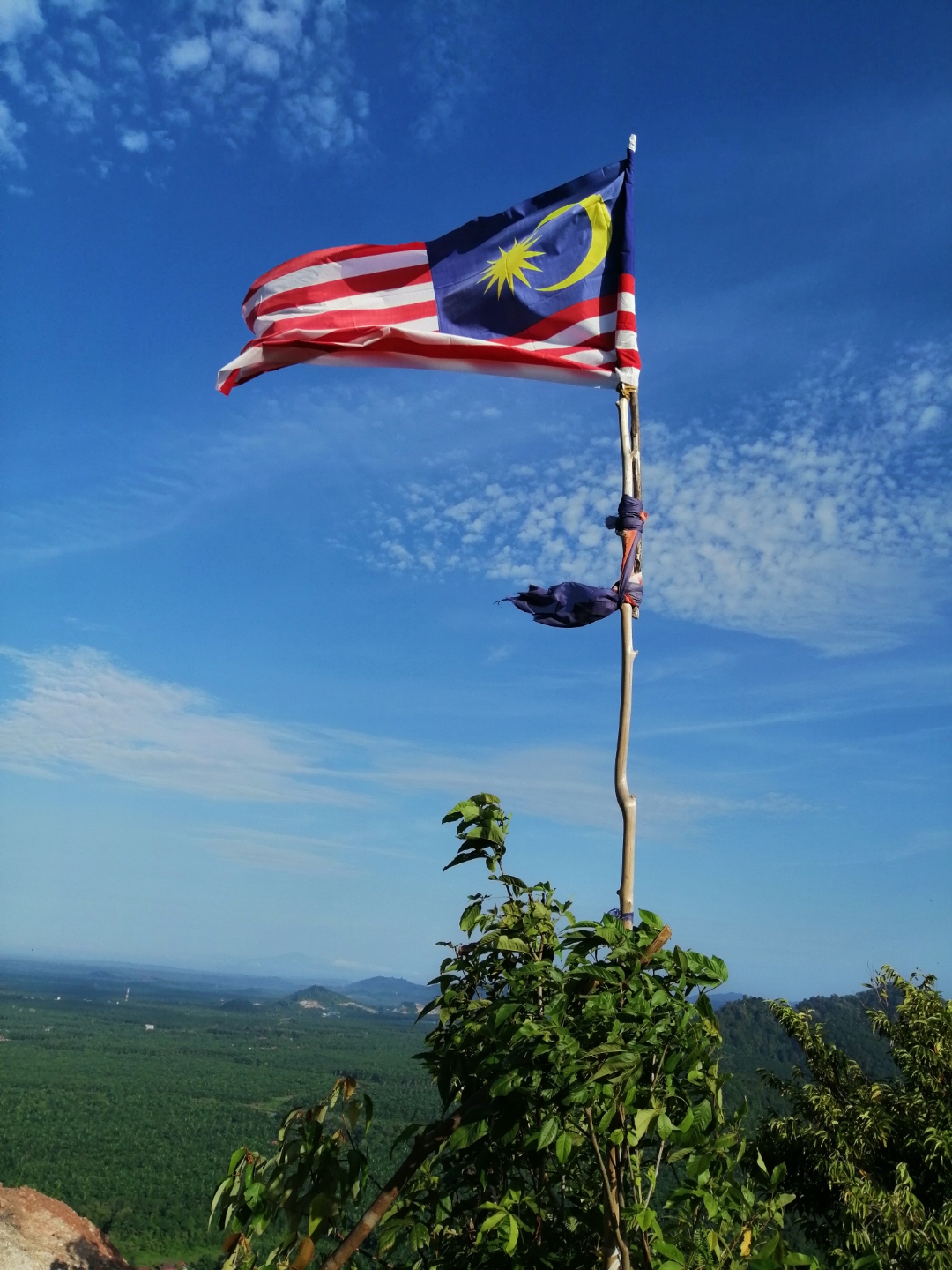 Biweekly-Photo-Collection-Highlighted-All-Good-Photos-Created-from