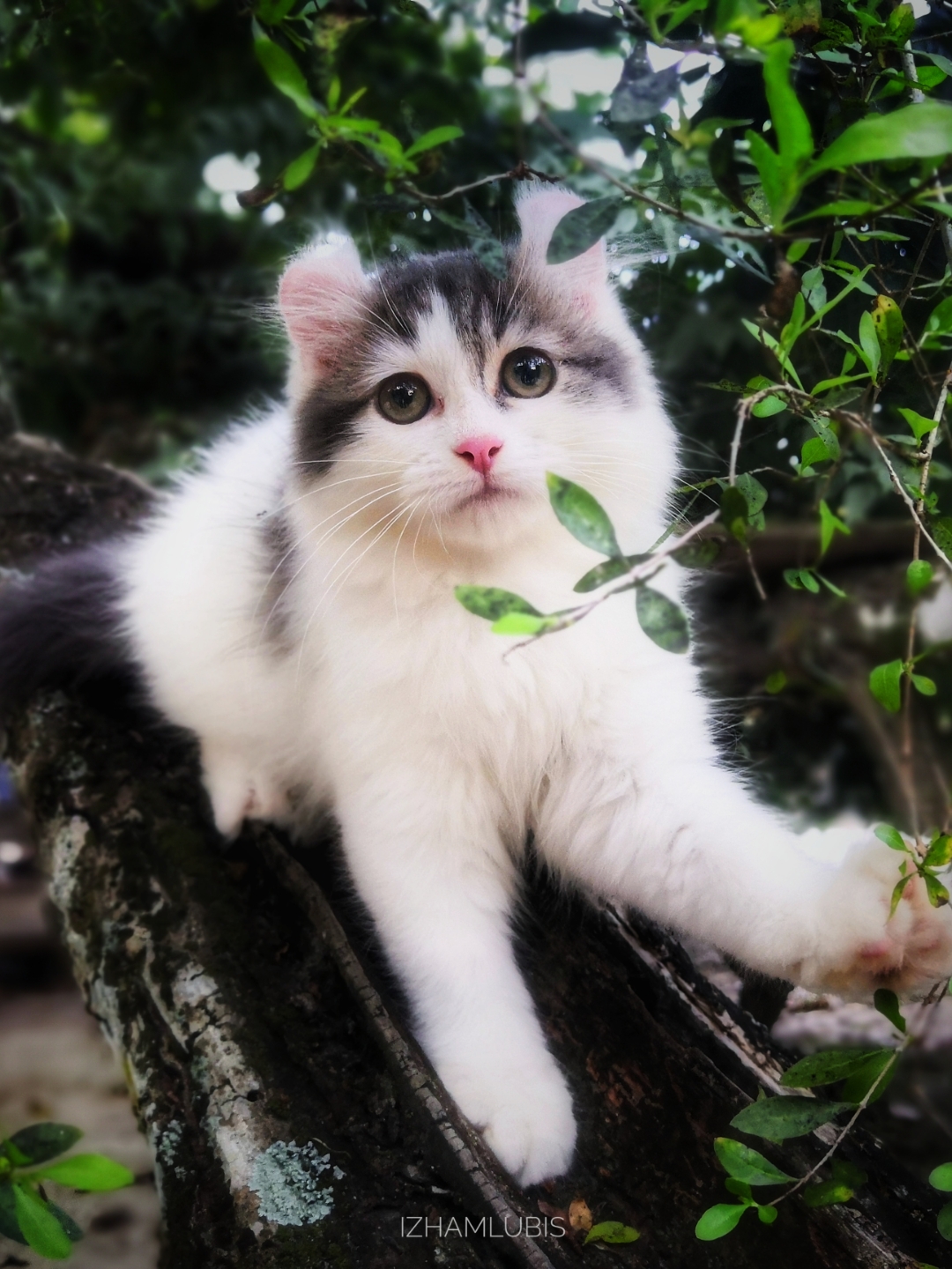 Biweekly-Photo-Collection-Highlighted-All-Good-Photos-Created-from