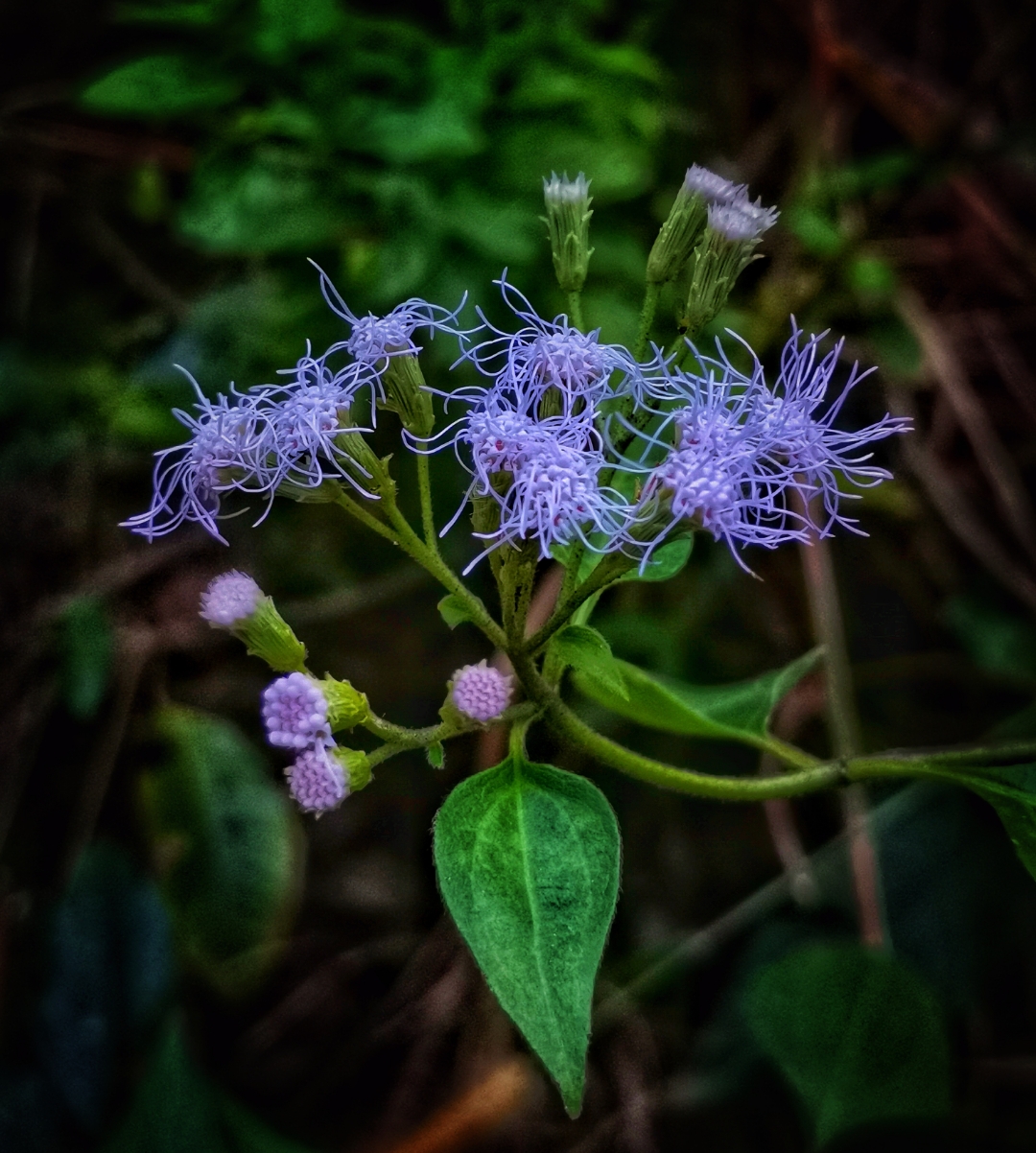 Biweekly-Photo-Collection-Highlighted-All-Good-Photos-Created-from