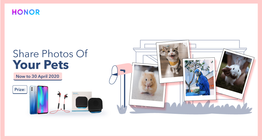 Biweekly-Photography-Challenge-7-Take-Photos-of-Your-Pets-before-1st