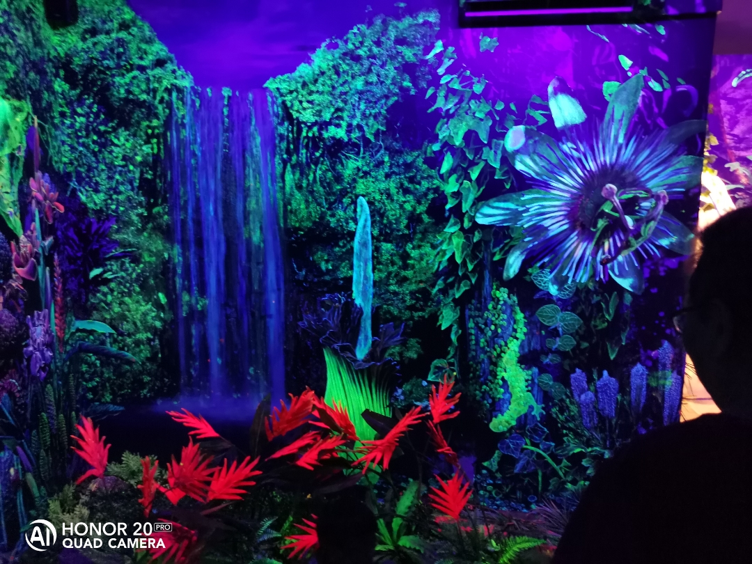 Biweekly-HONOR-Shooting-Star-1-17-Nov-2019