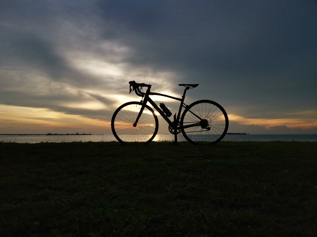 Biweekly-HONOR-Shooting-Star-1-17-Nov-2019