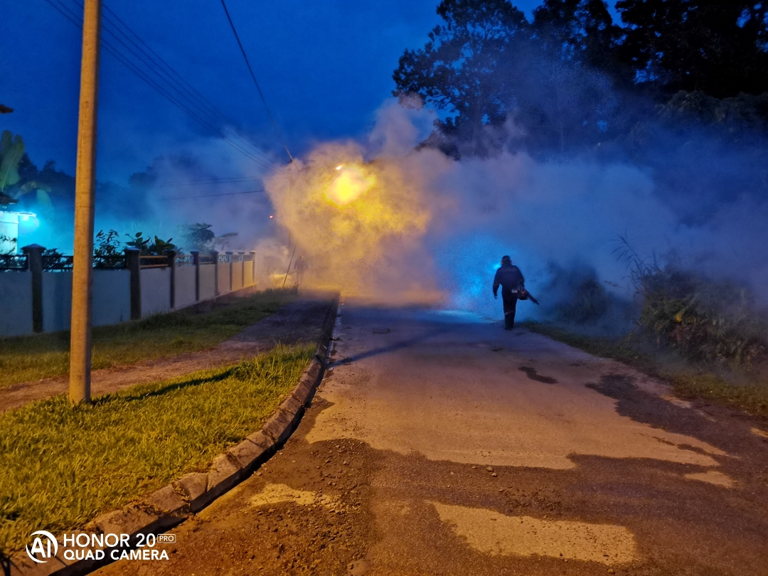 Biweekly-HONOR-Shooting-Star-1-17-Nov-2019