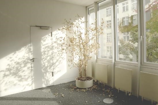 HONOR-20-AIS-Super-Night-Mode-Enabling-Smartphone-Night-Photography-in