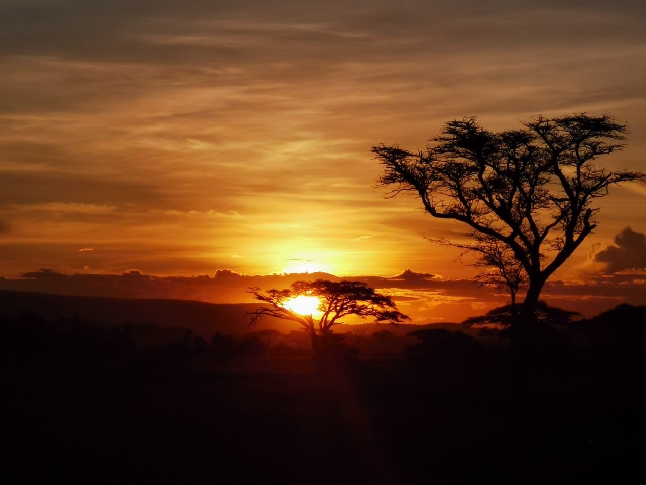 HONOR-20-PROs-48MP-Quad-Camera-Smartphone-Photography-for-the-Ordinary