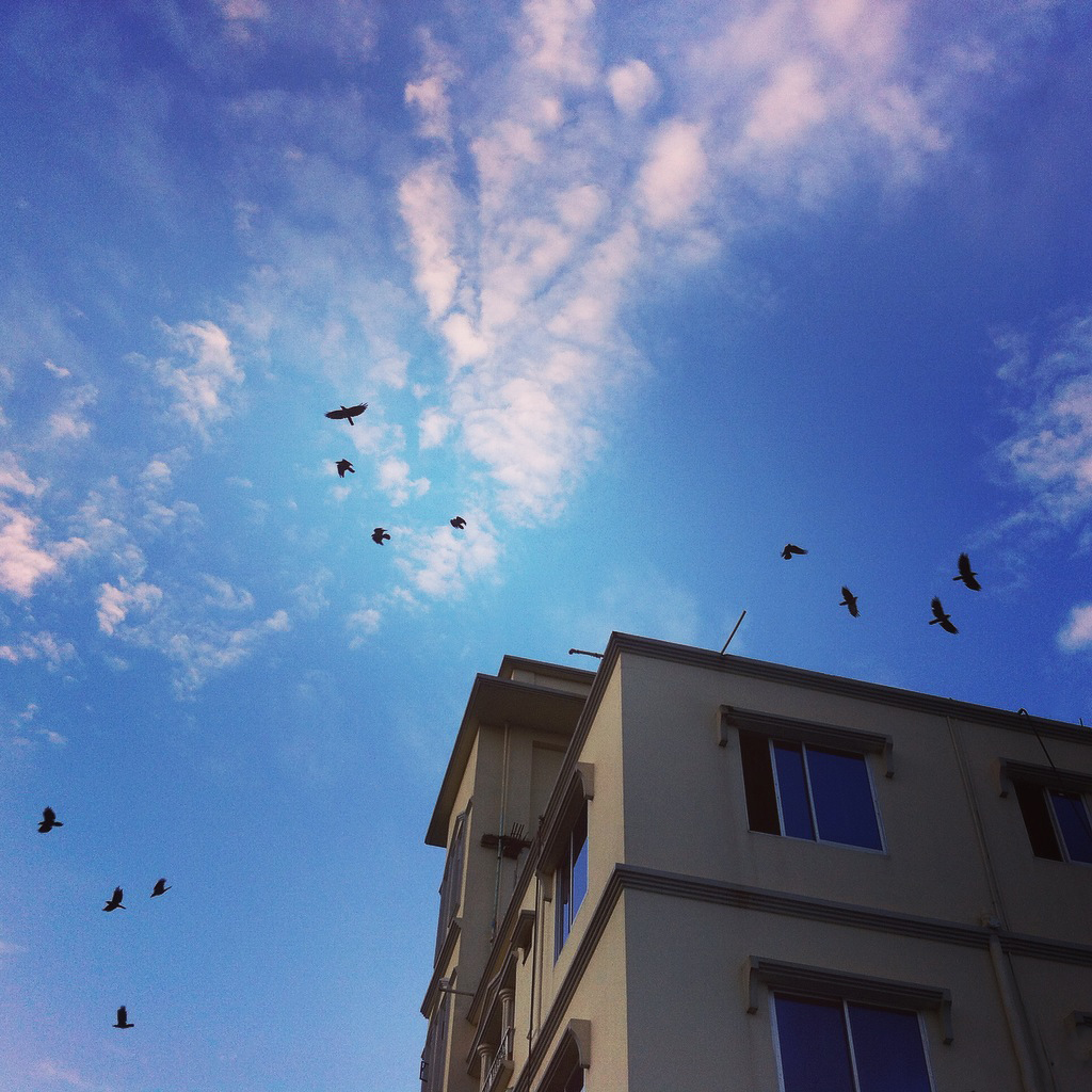 Tutorial-10-Photography-Tips-For-Beginners