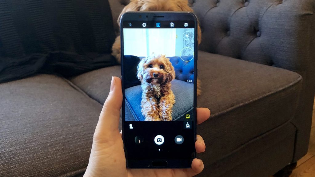 Tutorial-10-Photography-Tips-For-Beginners