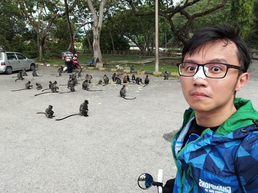 pimg-srchttpsiforum-sgchihonorcommymydataimages202242160296421-8da4