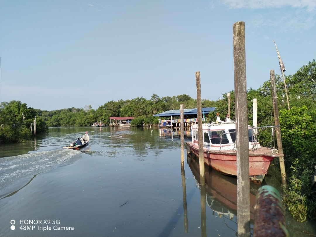 pimg-srchttpsiforum-sgchihonorcommymydataimages202242160296421-8da4