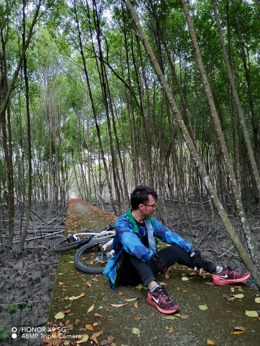 pimg-srchttpsiforum-sgchihonorcommymydataimages202242160296421-8da4