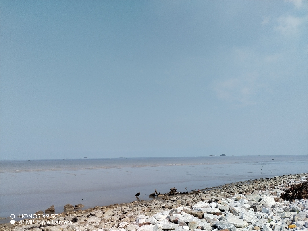 pimg-srchttpsiforum-sgchihonorcommymydataimages202242160296421-8da4