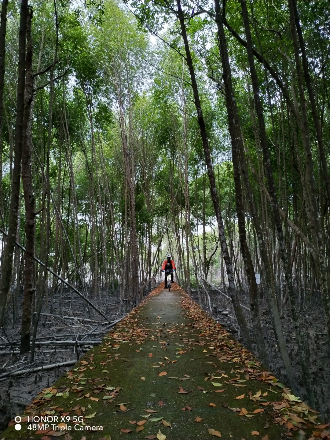 pimg-srchttpsiforum-sgchihonorcommymydataimages202242160296421-8da4