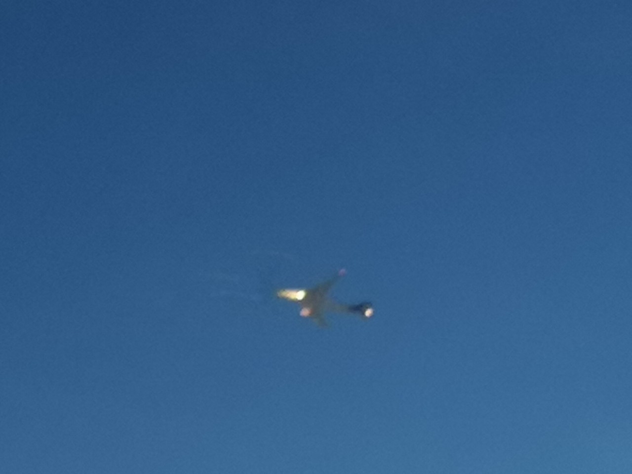 pLsubsubonging-for-the-sky-flying-like-a-birdppimg-srchttpsiforum