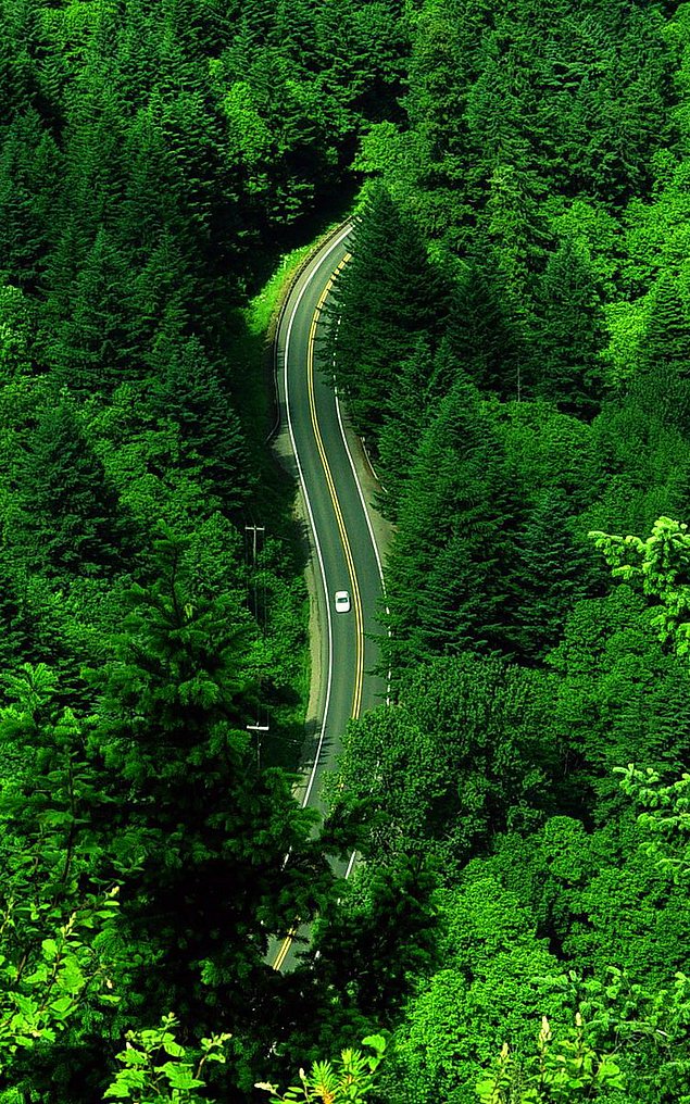 Akıllı-telefonlar-için-50-farklı-duvar-kağıdı