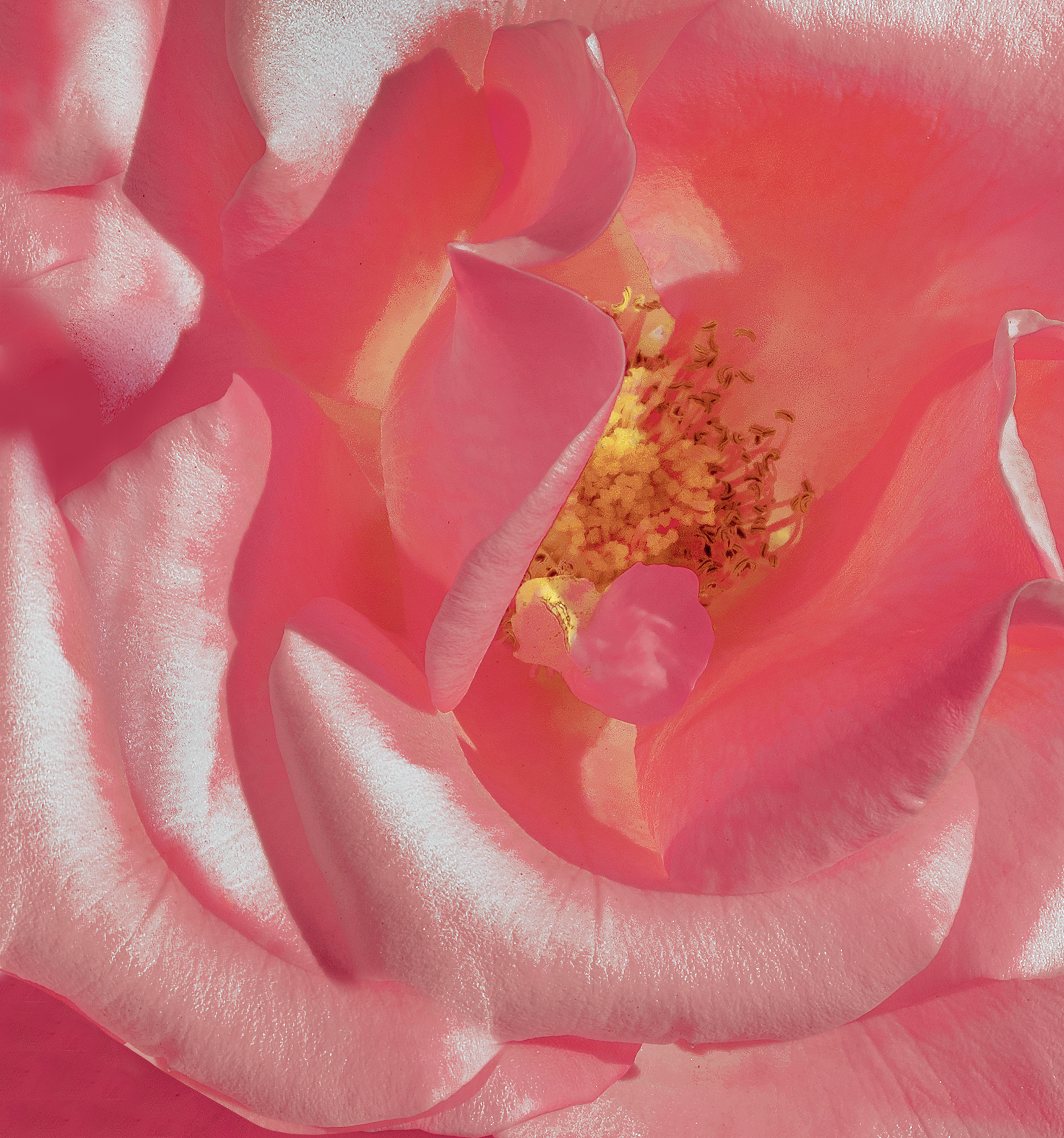 Honor-V20-Duvar-kağıtları